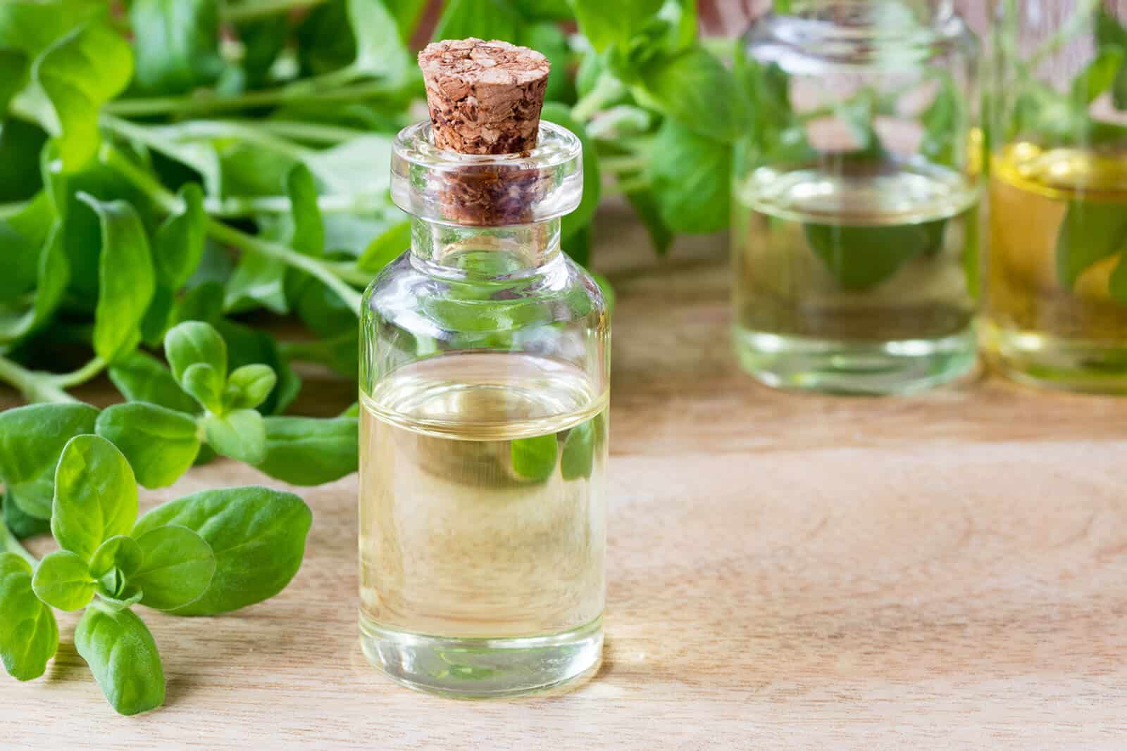  Marjoram Oil